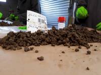 Chantier sol 7